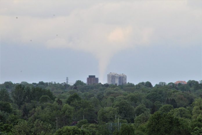 Foto: Twitter /Sarah Anne Davis Foto: Twitter /Sarah Anne Davis