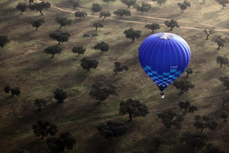 ZERO SAÚDA PROCEDIMENTO DA COMISSÃO EUROPEIA POR FALTA DE HABITATS PROTEGIDOS