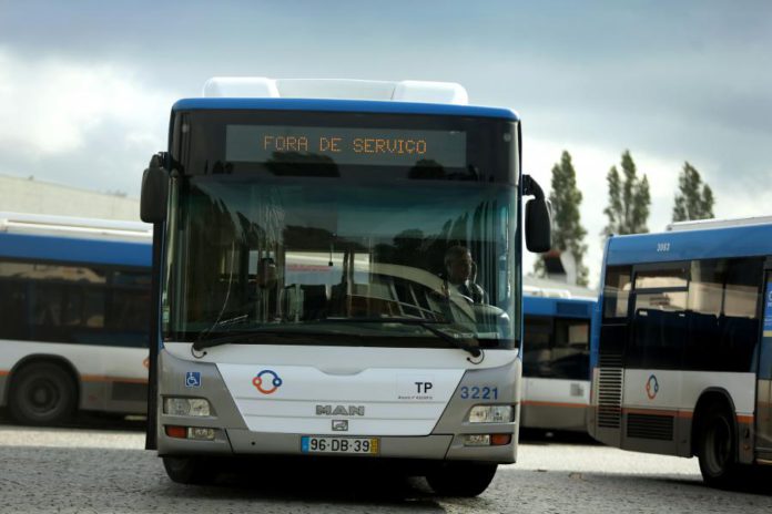 16891630.jpg