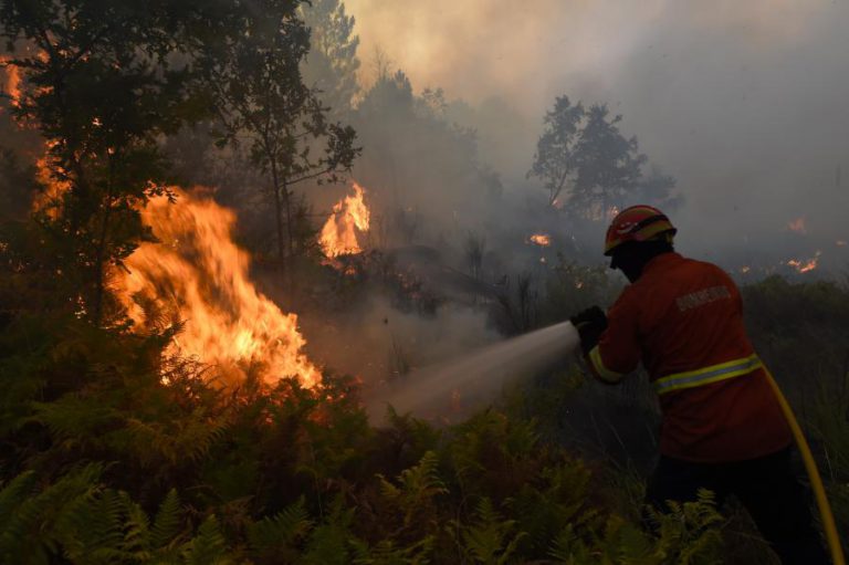 DEZ CONCELHOS DOS DISTRITOS DE VISEU, GUARDA E BRAGANÇA EM RISCO MÁXIMO DE INCÊNDIO