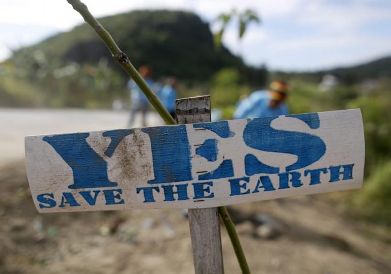 REFLORESTAÇÃO É A MELHOR SOLUÇÃO PARA COMBATER ALTERAÇÕES CLIMÁTICAS, SEGUNDO UM ESTUDO