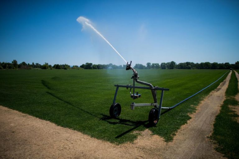 PORTUGAL TEM NOVO INSTRUMENTO FINANCEIRO PARA APOIAR AGRICULTORES