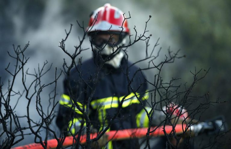 VÁRIOS MILHARES DE HECTARES DE PLANTAÇÕES DEVASTADOS POR INCÊNDIOS NA FRANÇA
