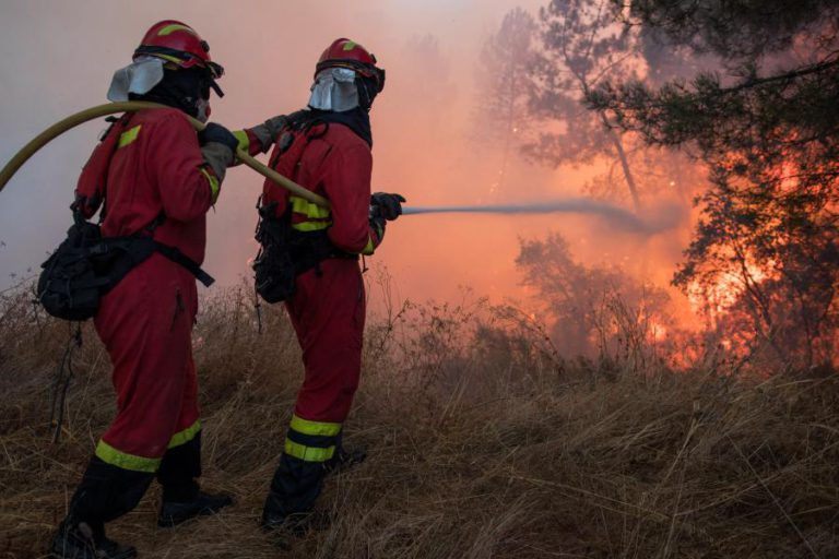 AUTARCA DE CERNACHE DO BONJARDIM DIZ QUE HOUVE “TRÊS FOGOS À MESMA HORA”