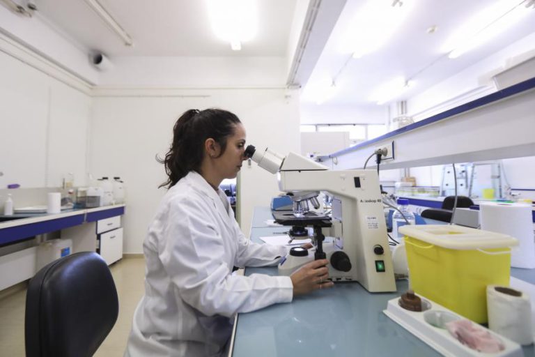 INVESTIGAÇÃO DO INSA REVELA QUE IBUPROFENO TEM EFEITOS ANTICANCERÍGENOS