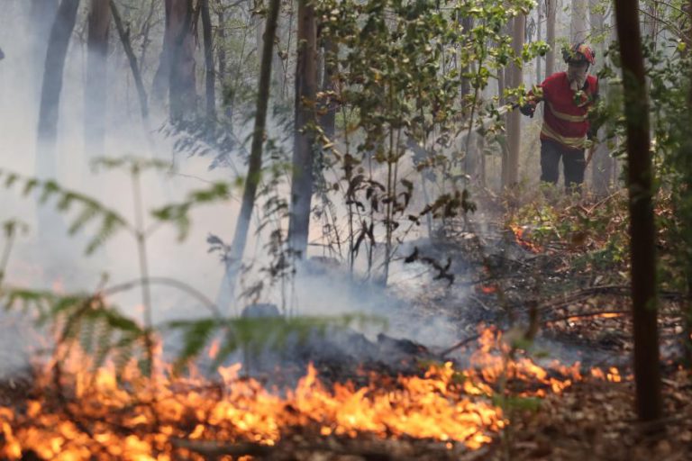 FOGO DE ALIJÓ COM TRÊS FRENTES E A QUE MAIS PREOCUPA DIRIGE-SE PARA MURÇA