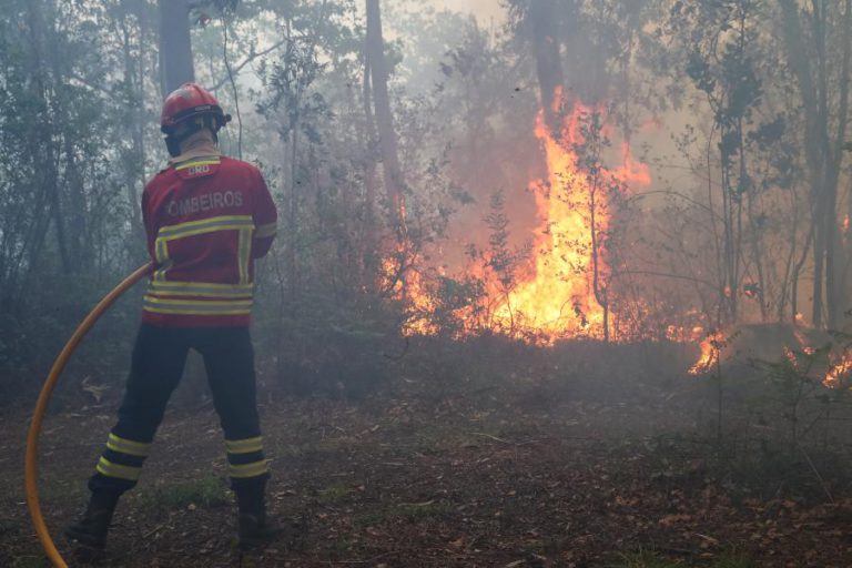 QUATRO BOMBEIROS FERIDOS NO FOGO EM CASTELO BRANCO