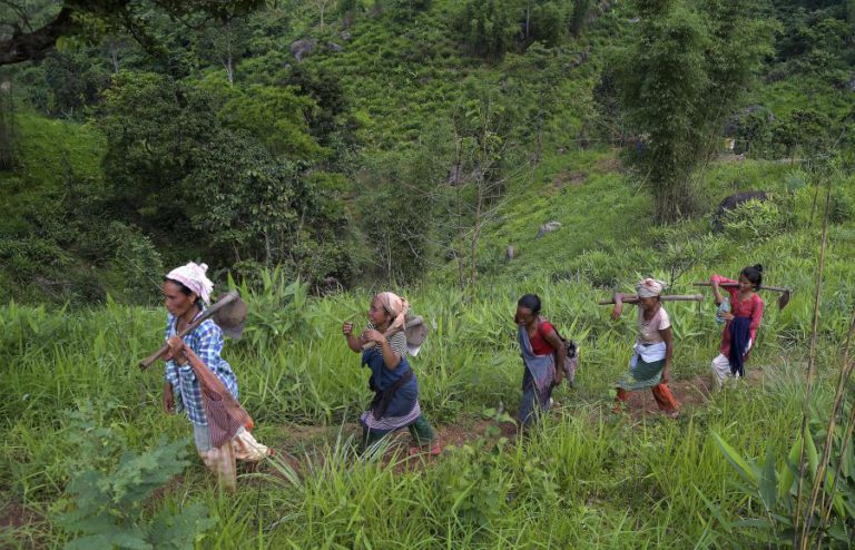 MILHARES DE INDIANAS RETIRAM ÚTEROS PARA QUE MENSTRUAÇÃO NÃO IMPEÇA TRABALHO