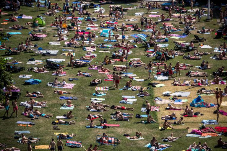 ONDA DE CALOR NA EUROPA PROVOCA INFESTAÇÃO DE LAGARTAS DO PINHEIRO