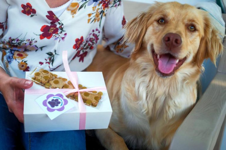 DOENÇA DA CADELA AMÉLIA INSPIROU PEQUENO NEGÓCIO DE BISCOITOS NOS AÇORES