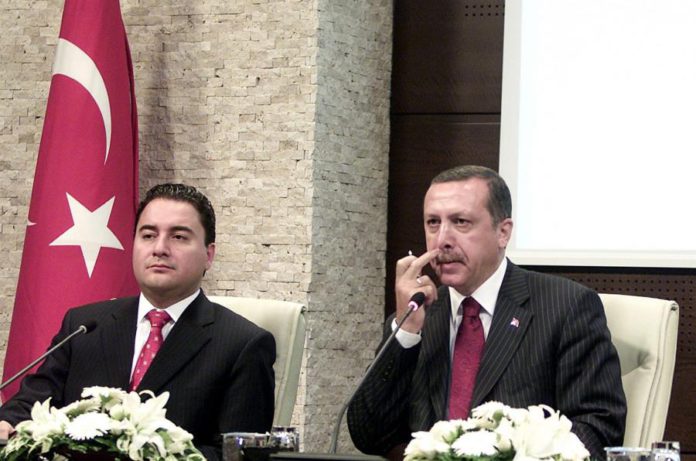 26616433.jpg