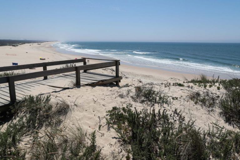 DESTRUIÇÃO DE HABITATS AFETA ESPÉCIES QUE PODEM DEIXAR DE SER COMUNS