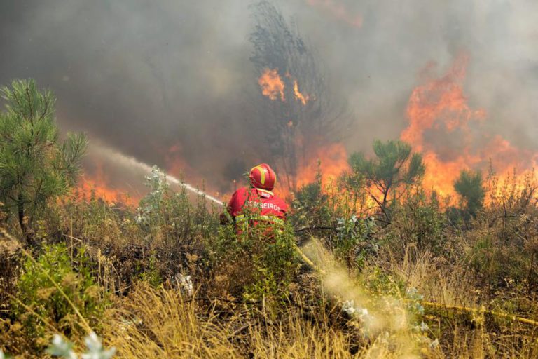 OITO MEIOS AÉREOS E 200 BOMBEIROS COMBATEM ÀS 16:45  FOGO EM CASTELO BRANCO