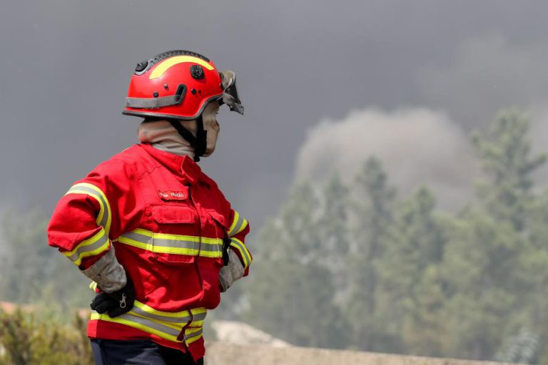 REPORTAGEM: INCÊNDIOS: “SE O INTERIOR FICOU SEM ÁRVORES, ENTÃO QUE NAS CIDADES DEIXEM DE USAR CARROS”