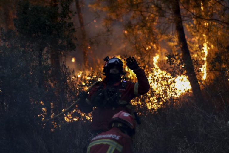 TREZENTOS A 400 AGRICULTORES AFETADOS PELOS INCÊNDIOS EM MAÇÃO, VILA DE REI E SERTÃ