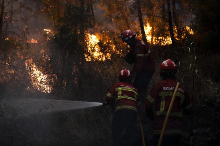 PROTEÇÃO CIVIL CONTA TER FOGO DE VILA DE REI DOMINADO DURANTE MADRUGADA