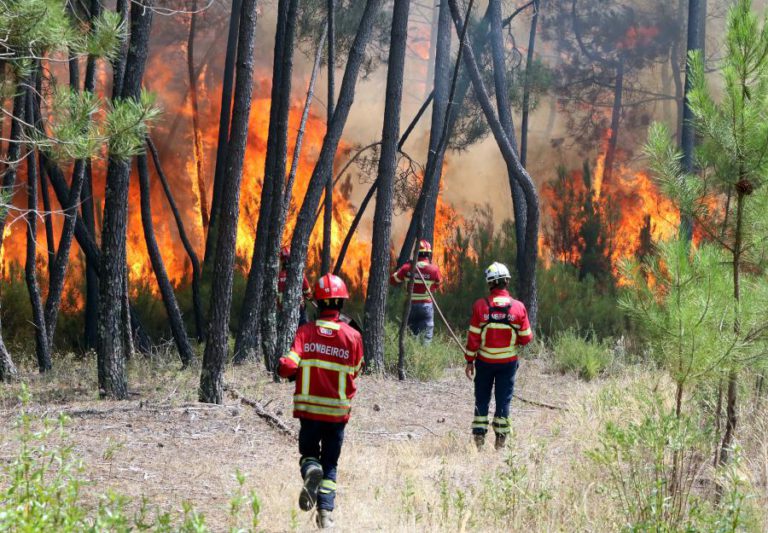 INCÊNDIO EM VILA DE REI E MAÇÃO DOMINADO – PROTEÇÃO CIVIL