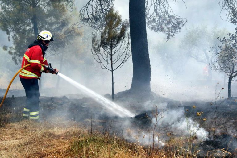 FOGO EM RESOLUÇÃO EM VILA DE REI E EM 70% DO TERRITÓRIO ATINGIDO EM MAÇÃO