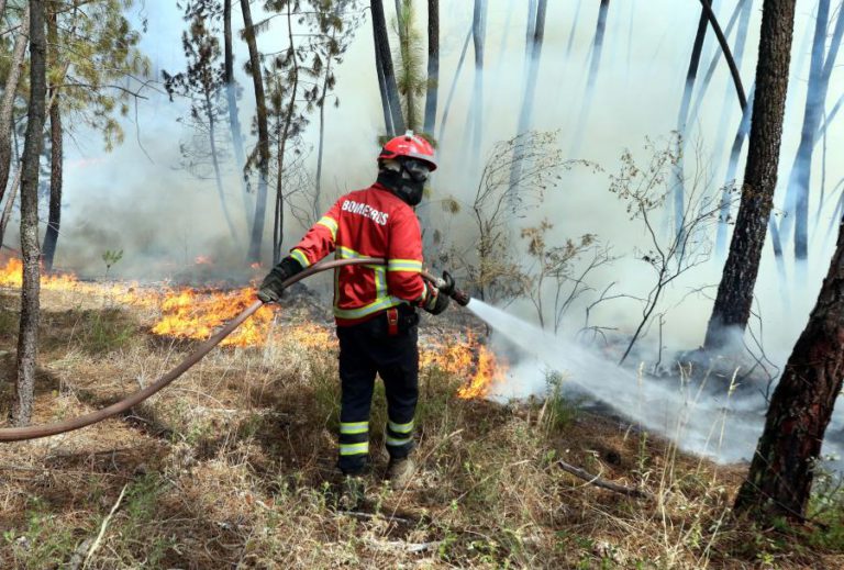COMBATE AO FOGO NO FUNDÃO ESTÁ A DECORRER “FAVORAVELMENTE” — PROTEÇÃO CIVIL