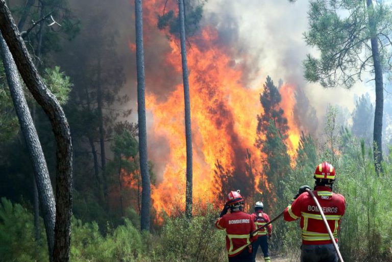 INCÊNDIOS: METADE DOS FOGOS REGISTADOS ATÉ 15 DE JULHO COM ORIGEM EM QUEIMADAS E QUEIMAS