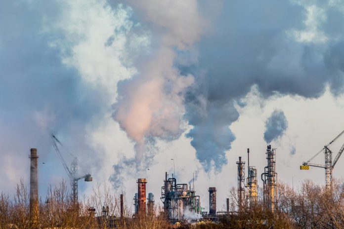 Foto: WORLD ENVIRONMENT DAY