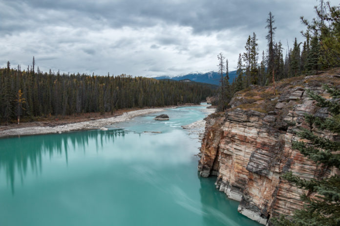 Foto jornal: Martin Kraft Foto jornal: Martin Kraft