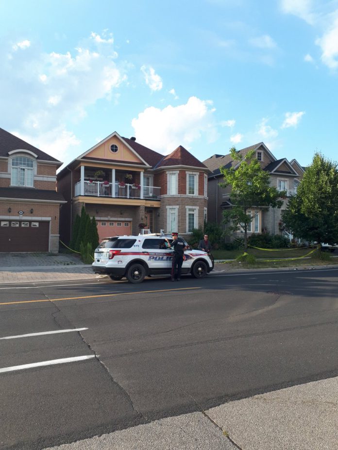Foto: York Regional Police/Twitter