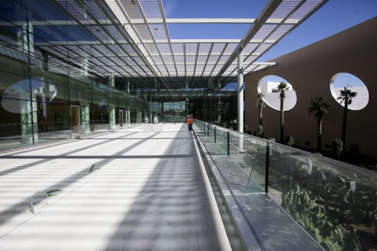 CIENTISTAS DA CHAMPALIMAUD APRESENTAM NOVA LEI PSICOFÍSICA PARA EXPLICAR OUTRA COM 185 ANOS