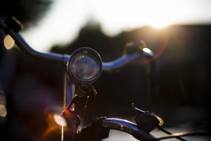 15561051.jpg