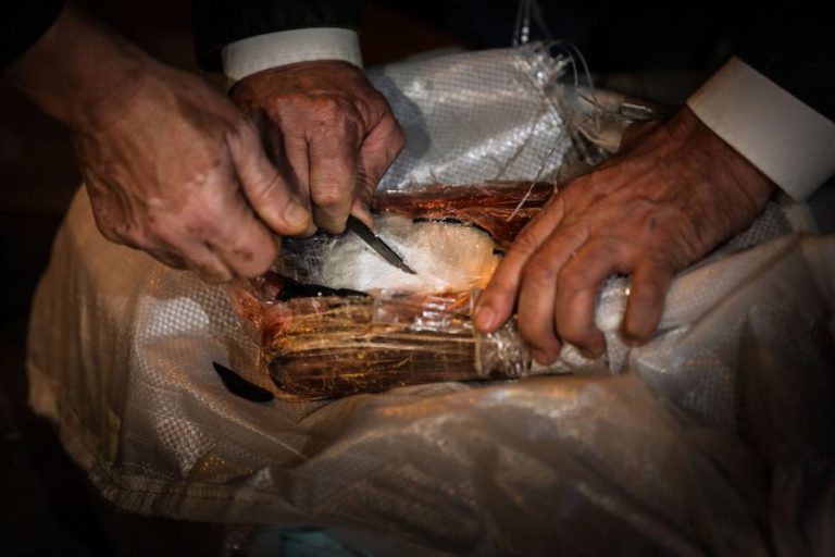 POLÍCIA DE ESPANHA E PORTUGAL DESMANTELAM REDE DE TRÁFICO DE COCAÍNA
