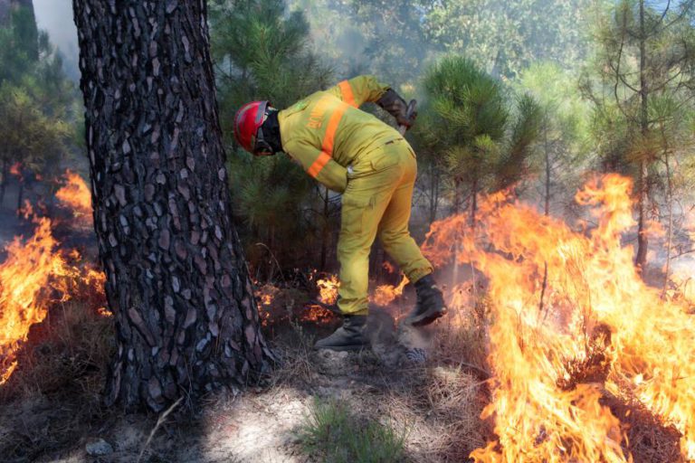 QUASE 40 CONCELHOS DE NOVE DISTRITOS EM RISCO MÁXIMO DE INCÊNDIO