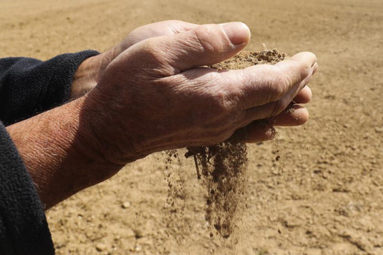 GOVERNO ALARGA A MAIS 18 MUNICÍPIOS APOIOS A AGRICULTORES DEVIDO À SECA