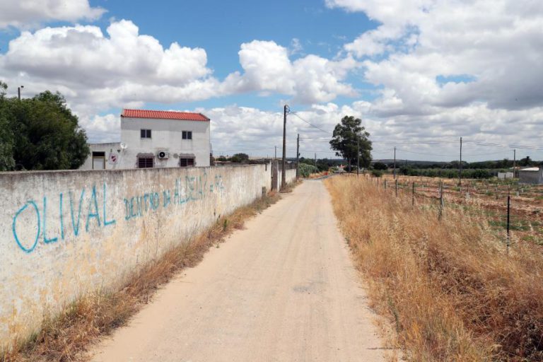 QUERCUS PEDE DECLARAÇÃO DE ESTADO DE EMERGÊNCIA CLIMÁTICA PARA O ALENTEJO
