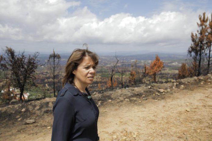 26812339.JPG