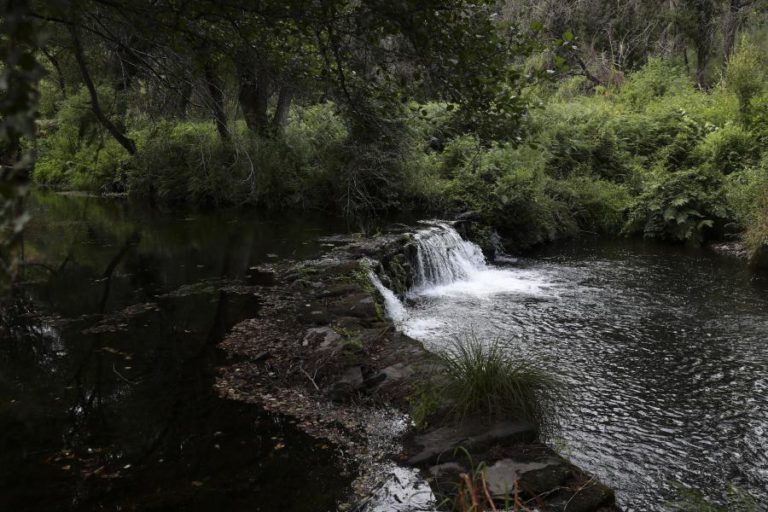 OS NOVOS GUARDADORES DE RIOS