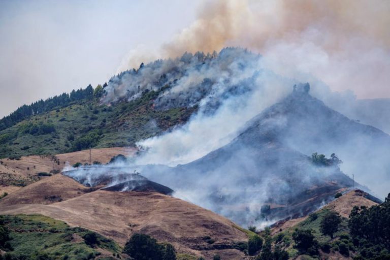 INCÊNDIO NA GRANDE CANÁRIA JÁ AFETOU SEIS MIL HECTARES E CONTINUA ATIVO