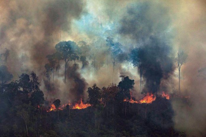 26902907.jpg
