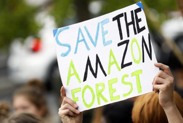 ATIVISTAS PEDEM BOICOTE DA ALEMANHA AO BRASIL