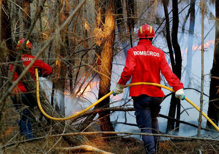 FOGO NO SABUGAL EM FASE DE RESOLUÇÃO