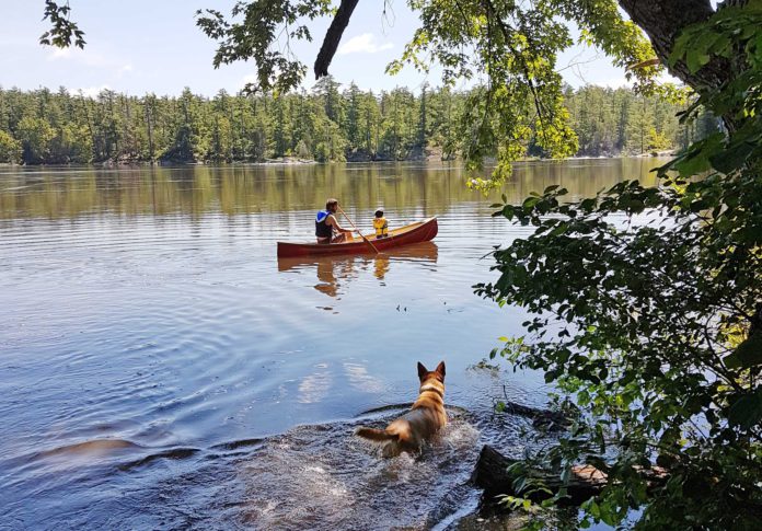 Foto: Best Western Pembroke Inn & Conference Centre