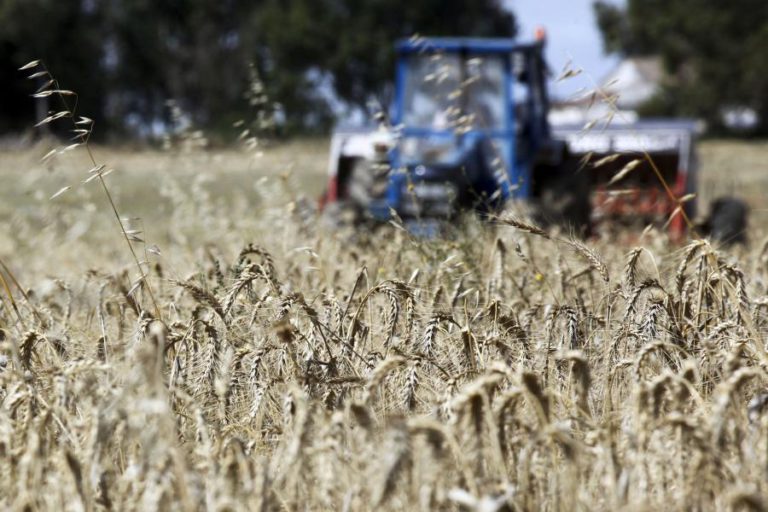 TRIBUNAL DE CONTAS RECOMENDA REVISÃO DE PLANO DE COMBATE À DESERTIFICAÇÃO