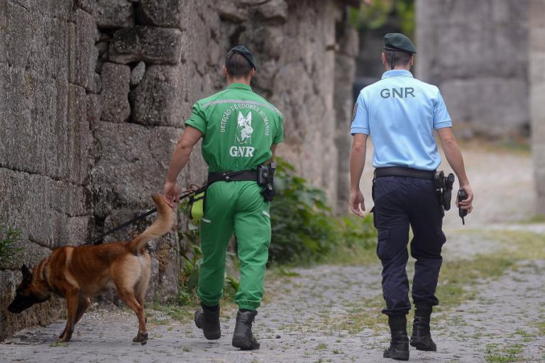 BUSCAS POR HOMEM DE 85 ANOS DESAPARECIDO EM PINHEL FORAM RETOMADAS HOJE