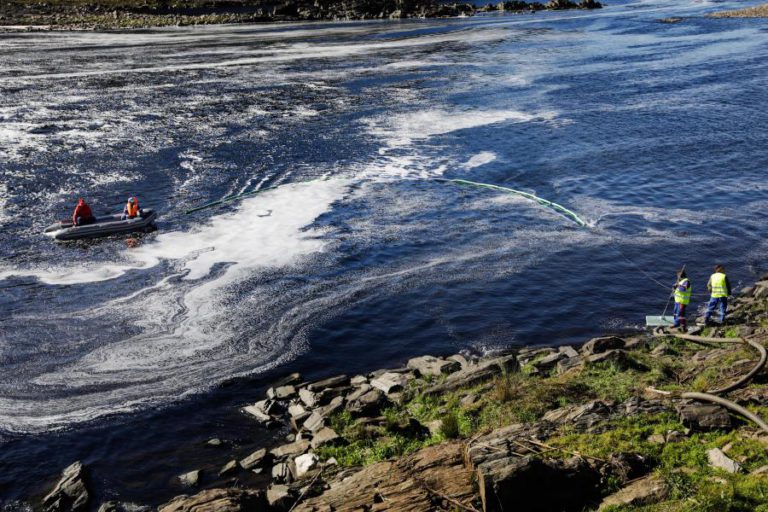 REGIÃO HIDROGRÁFICA DO TEJO OESTE COM CINCO NOVOS VIGILANTES DA NATUREZA