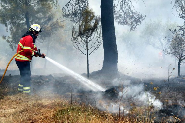 DOZE CONCELHOS DE CINCO DISTRITOS DO CONTINENTE EM RISCO MÁXIMO DE INCÊNDIO