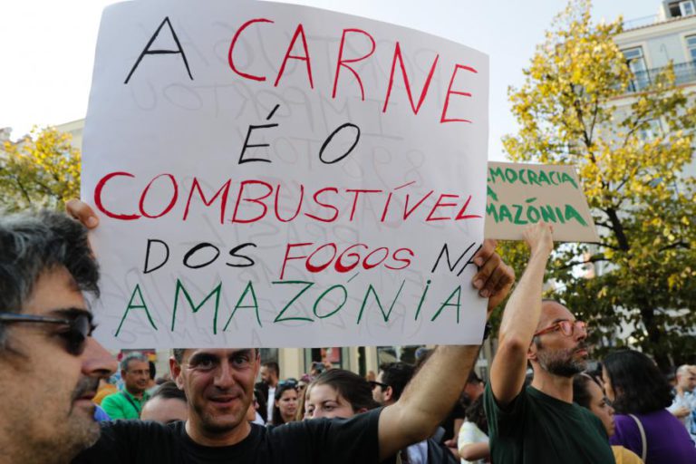 GREENPEACE PEDE BOICOTE COMERCIAL DE PRODUTOS BRASILEIROS FRUTO DA DESFLORESTAÇÃO DA AMAZÓNIA