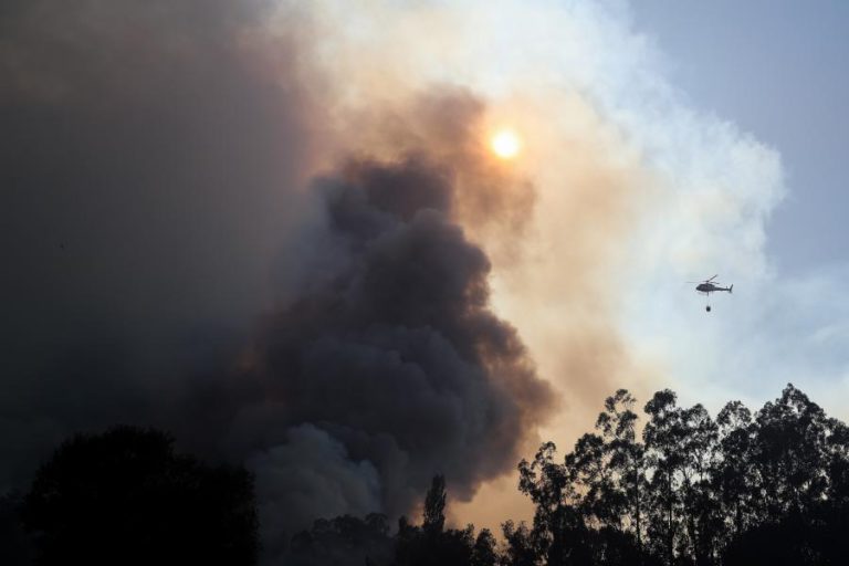 INCÊNDIO EM GRÂNDOLA DADO COMO DOMINADO