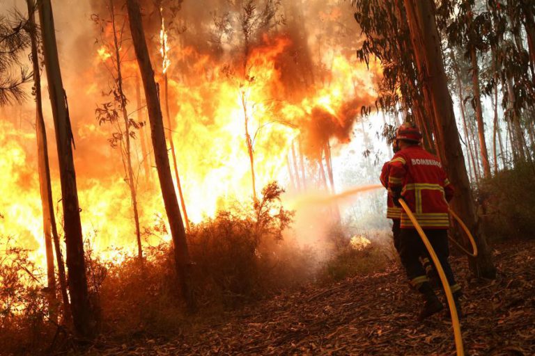 CINCO INCÊNDIOS OCUPAM MAIS DE 600 OPERACIONAIS EM PORTUGAL CONTINENTAL