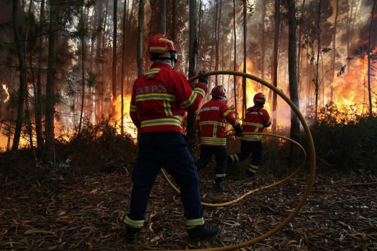 MAIS DE 2.300 OPERACIONAIS E 24 MEIOS AÉREOS NO COMBATE A INCÊNDIOS