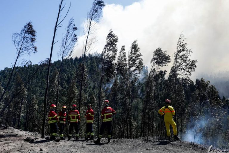 MAIS DE 2500 OPERACIONAIS E 26 MEIOS AÉREOS COMBATEM CHAMAS NO PAÍS