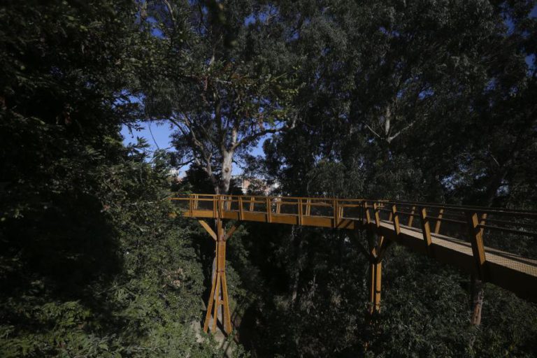 SERRALVES INAUGURA NA SEXTA-FEIRA PERCURSO ELEVADO COM 250 METROS DE COMPRIMENTO